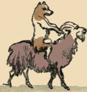 Illustration: He was riding a goat.
