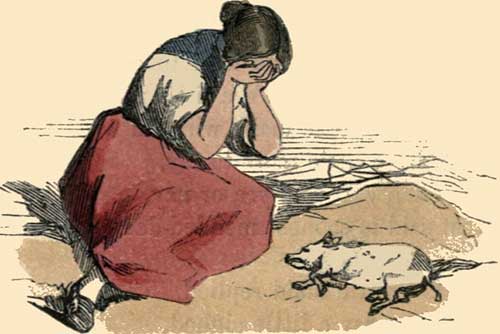 Illustration: Did you not hear of Betty Pringle's pig?